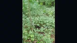 Cumshot quickly in the forest