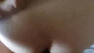 Petite levrette du soir