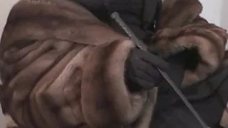 virginloser get humiliated in fun house