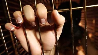 Dani Daniels A Trapped Bitch Inside A Dog Cage