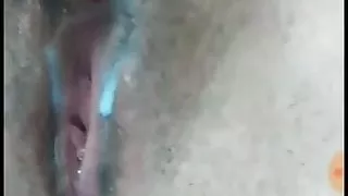 gata sexy com a buceta molhada