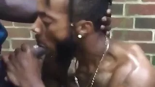 Transylvania Rising 2020