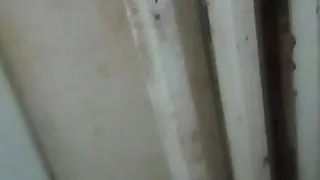 Goddess Strengthly Giantess