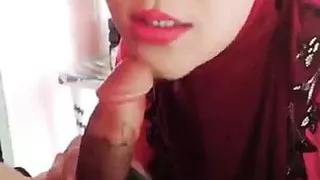 Bapok Hisap Batang Banyak