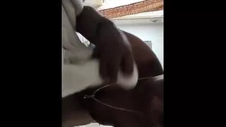 Today Exclusive-Hot Telugu Sister inlow Gives...