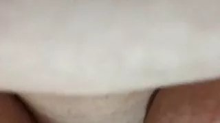 Dans la chatte de la truie