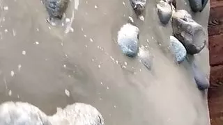 Las Nalgotas de Lizzo