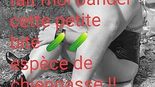 Fais moi bander chiennasse