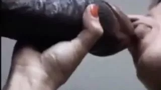 Massive dick, big Indian cock