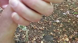 Full nude wanking in public forest