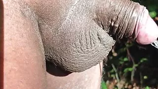 Fem choices sun kissed