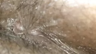 Up close of Mme. Katt asshole and pussy during massage