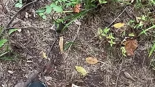 Amatør, Stor Pik, Sæd, Gay, Handjob, Onani