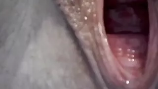 Dripping mature pussy