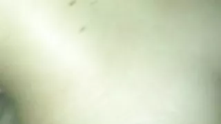 Bull for Woge Part 2