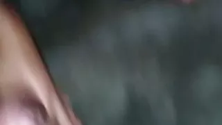 Großer und fetter Schwanz MOTA DESI LUND