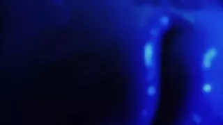 Beautiful Blue and Wet - TRAILER