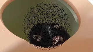 japanese mistress amriate use maskjoe as her human toilet