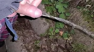 Amateursex, Bar, Ferien, Pissen