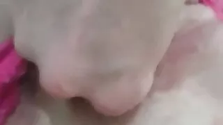 sister fisting herself