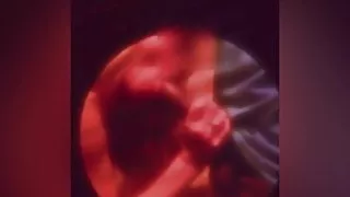 Horny White Wife Sucking My BBC