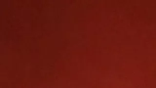 Todo no cu da querida