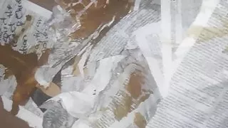 Bible Blasphemy Project 4