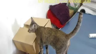 Cute Amateur Anal and Big Cum Facial in Porn Debut