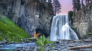 sissy mind control with Mistress Petra