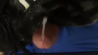 Amateur, Sperme, Cumshot, Gay, Branlette, Masturbation