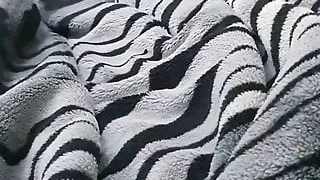 Step mom ass fucked and spanked by hangover step son