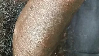indian hairy cock