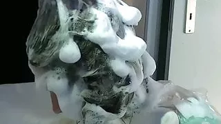 Forward Shampooing in Salon