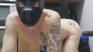 David Anderson Manchester Woof Woof