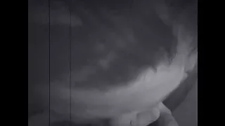 Krissy Dixon - ORAL ALL-STARS Debut (POV, CUMSHOT, SWALLOW)