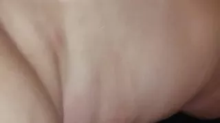 Souris beurette  de lomme