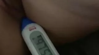 Rectal Temperature #14 - Leela