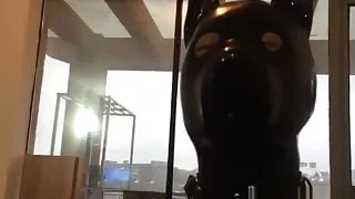 rubber pup bondage