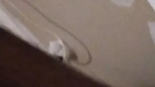 Je kiff la faire souffrir