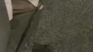 Britti, Klitoris, Mekko, Ladyboy, Alusvaatteet, Masturbointi