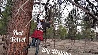 Red Velvet Hanging Wedgie