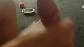 Quick morning handjob from wife