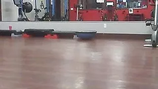 Psalms Selena Savate Proverbs