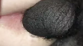 Hotwife Barebacks ein bbc