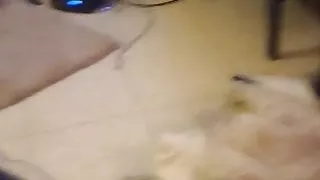 Unstoppable Diaryjournal