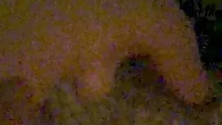 Good fuck after Tinder date