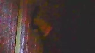 Homemade gloryhole on my fence