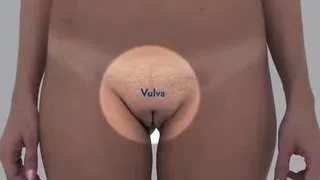 Real Female Anatomy - Visual Examination of the Vulva 1