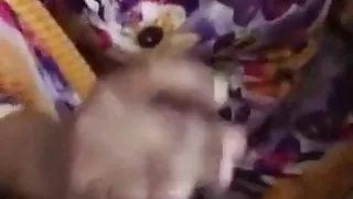 Baring hale ko lado chusdai valu