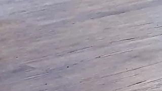 Kolumbianisches Mädchen hat Sex mit pakistanischem Jungen im Restaurant